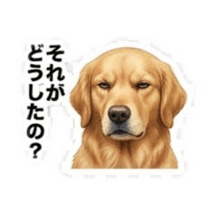 Ricky_20260516211342