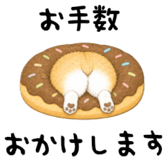 A cute, cute rear view of a Corgi