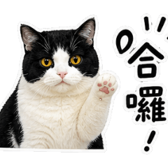 瓦仔01