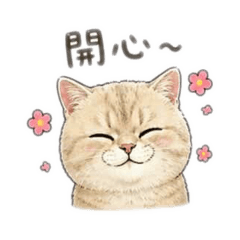 咪小嚕嚕