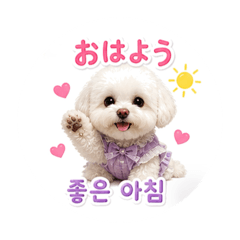 coco's daily conversation [Korean]4