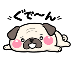 40 pugs 2