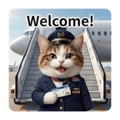 AIRPORT STAFF CAT