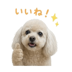 EMI_20260516111910