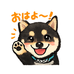 maido_20260516123106