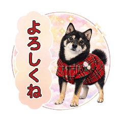 Kuromame RIN_20260516190009