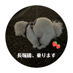 h.mtk_20260516211744