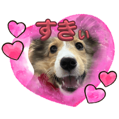 Meki_20260516211444