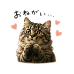 TAKUYA_20260516203401