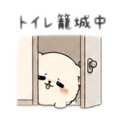 CASTER_20260516212202