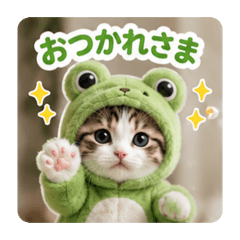 merumyu_20260516211938