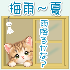 Tora the Tabby's in the rainy season