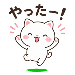 Mochi Cat: Express Your Emotions!