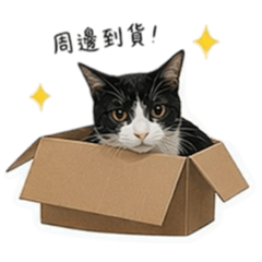 Meimei之追星日常