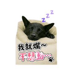廢