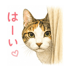 nikasuka_20260516130850