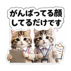merumyu_20260516132502