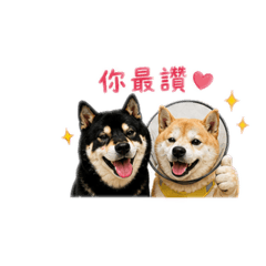 啵皮兄弟之讚嘆