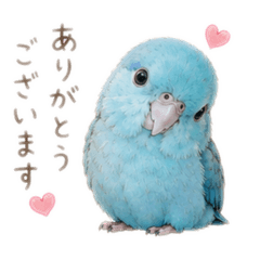 keikou_20260516142949