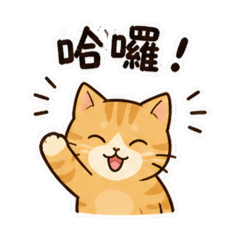 可愛いぽっちゃりミ
