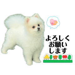 riehoshi_20260516143319
