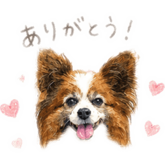 Ran_20260516145501