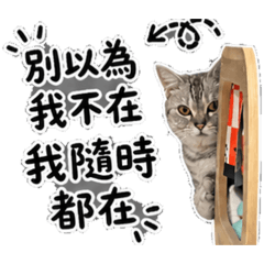 J&虎