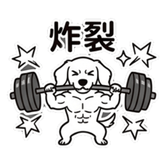 白臘腸Yuki開始健身啦！