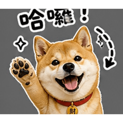 財犬來了Ya