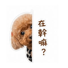 嘟比01