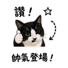 +N Cute Cat