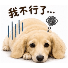 球球好累