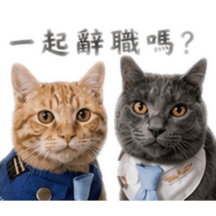 厭世離職貓