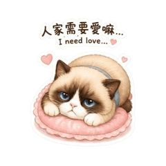 小布點 | 百變喵生