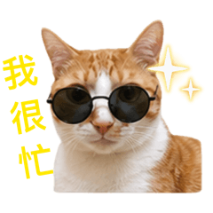 傳家ㄙ寶