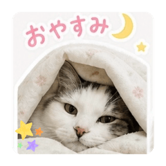 smile_k_20260516142422