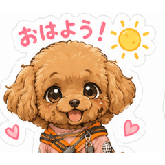 mocha_20260516142624