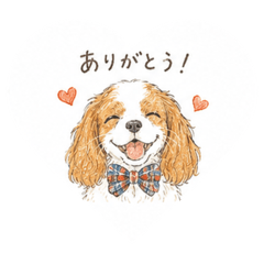 reaaki_20260516142220