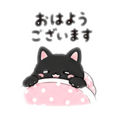 riru_20260516152506
