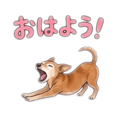 Keiko_20260518193218