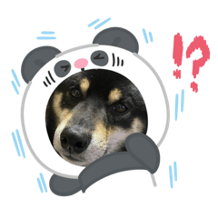 yamada_20260516155449