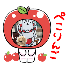 Nao Otake_20260516155356