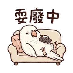 不想努力的鸚鵡