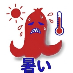 miwa_20260516145407