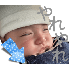 moesan_20260506080348