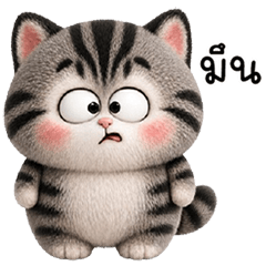 เหมี๊ยวตัวลายหูสั้น น่ารัก