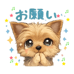 anko_20260516171322