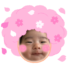arinko_20260516171034