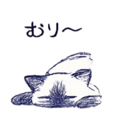 george_20260516174412
