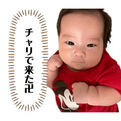 maru_20260516173546